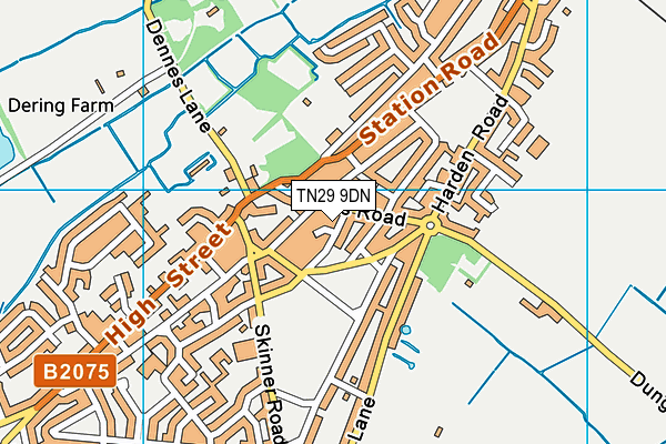 TN29 9DN map - OS VectorMap District (Ordnance Survey)