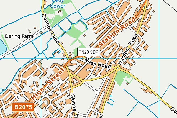 TN29 9DP map - OS VectorMap District (Ordnance Survey)