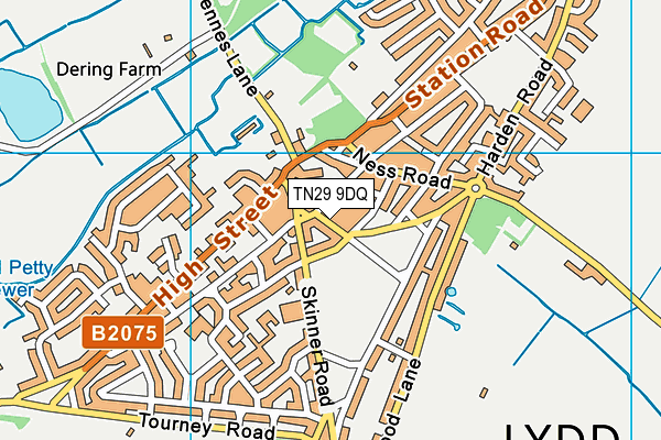 TN29 9DQ map - OS VectorMap District (Ordnance Survey)