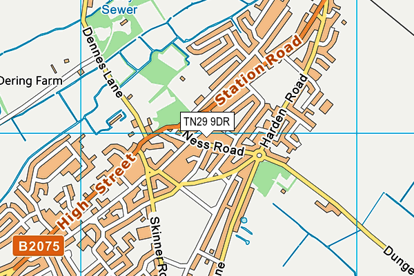 TN29 9DR map - OS VectorMap District (Ordnance Survey)