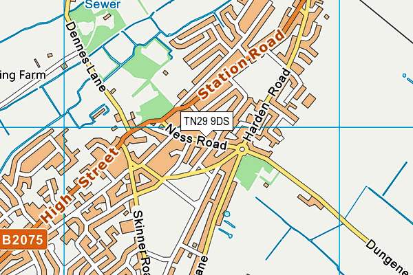 TN29 9DS map - OS VectorMap District (Ordnance Survey)