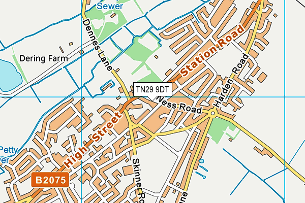 TN29 9DT map - OS VectorMap District (Ordnance Survey)