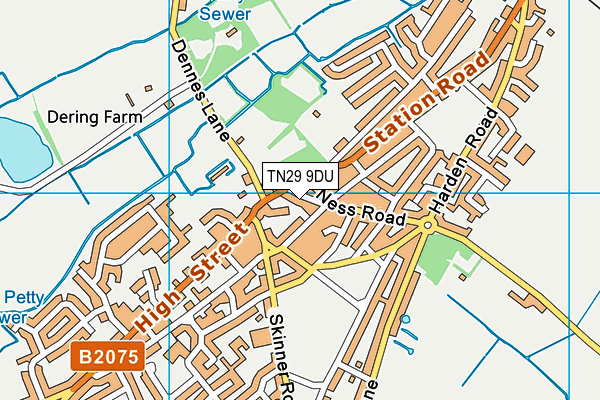 TN29 9DU map - OS VectorMap District (Ordnance Survey)