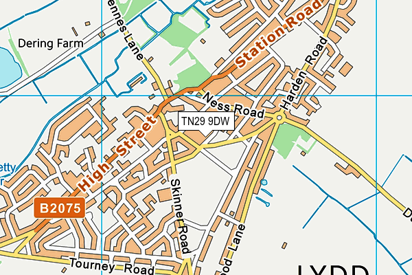 TN29 9DW map - OS VectorMap District (Ordnance Survey)
