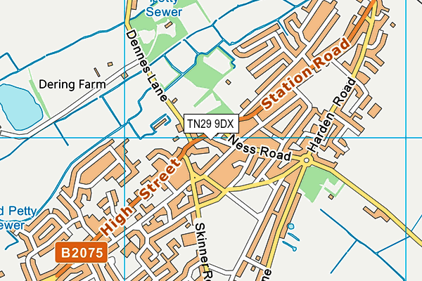 TN29 9DX map - OS VectorMap District (Ordnance Survey)