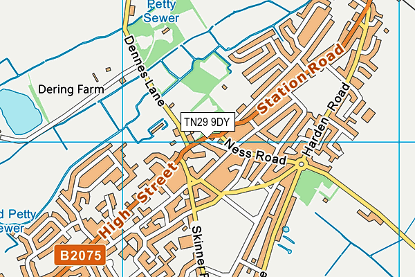 TN29 9DY map - OS VectorMap District (Ordnance Survey)