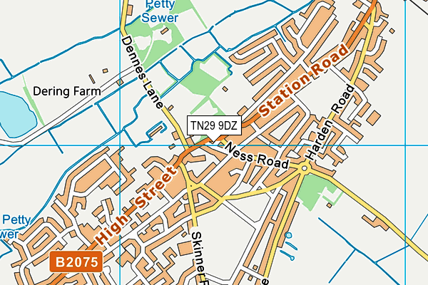 TN29 9DZ map - OS VectorMap District (Ordnance Survey)