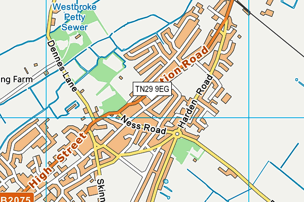 TN29 9EG map - OS VectorMap District (Ordnance Survey)
