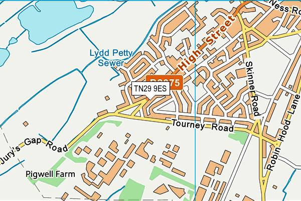 TN29 9ES map - OS VectorMap District (Ordnance Survey)