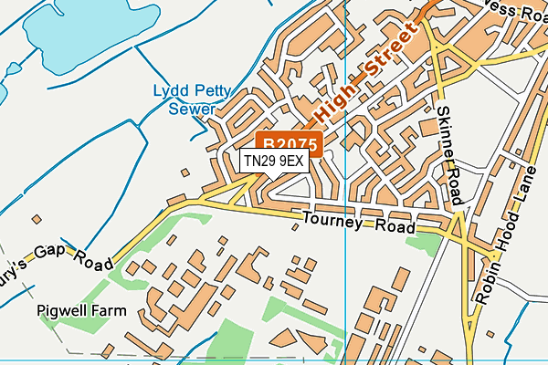 TN29 9EX map - OS VectorMap District (Ordnance Survey)