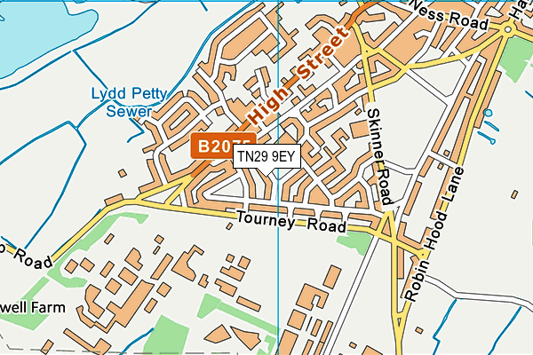 TN29 9EY map - OS VectorMap District (Ordnance Survey)