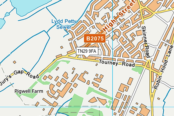 TN29 9FA map - OS VectorMap District (Ordnance Survey)