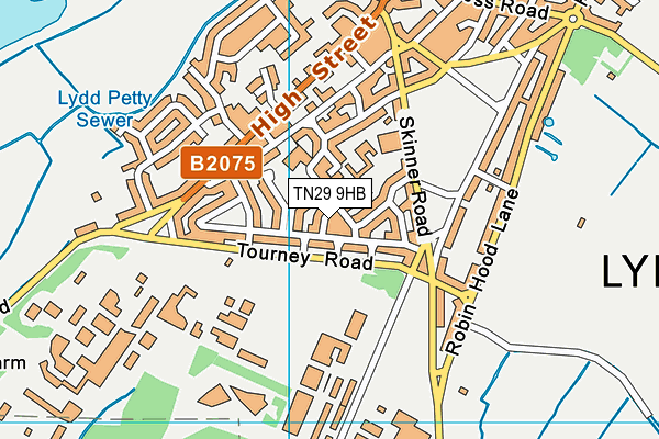 TN29 9HB map - OS VectorMap District (Ordnance Survey)