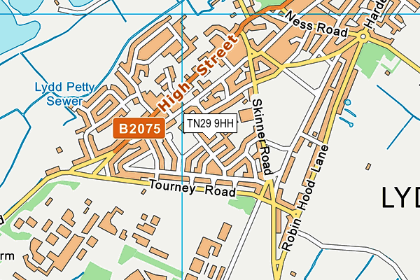 TN29 9HH map - OS VectorMap District (Ordnance Survey)