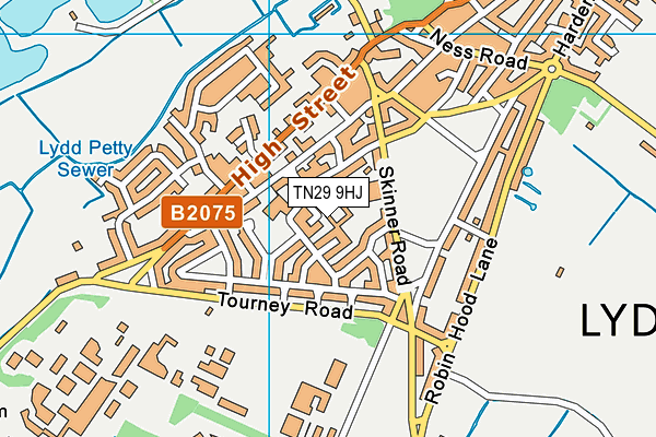 TN29 9HJ map - OS VectorMap District (Ordnance Survey)