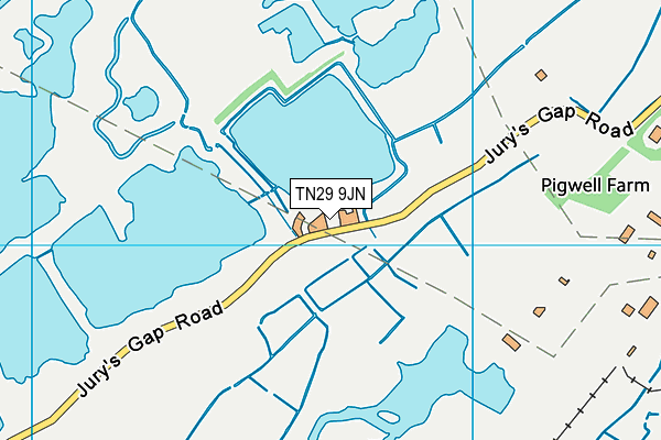 TN29 9JN map - OS VectorMap District (Ordnance Survey)