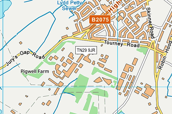 TN29 9JR map - OS VectorMap District (Ordnance Survey)