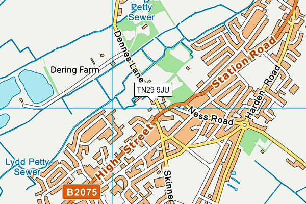 TN29 9JU map - OS VectorMap District (Ordnance Survey)