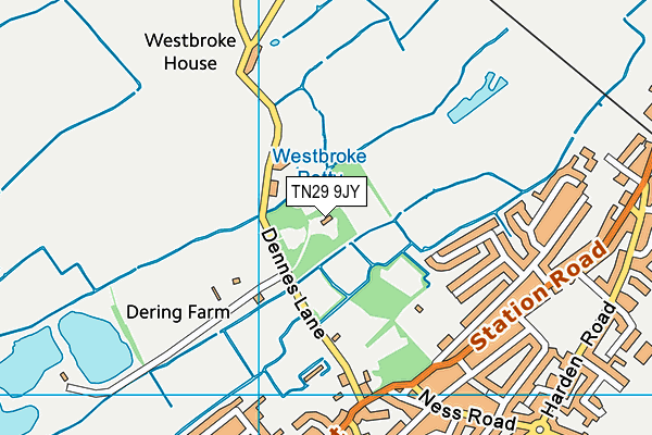 TN29 9JY map - OS VectorMap District (Ordnance Survey)