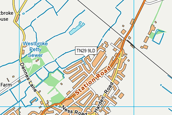 TN29 9LD map - OS VectorMap District (Ordnance Survey)