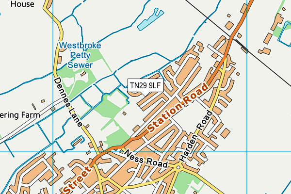 TN29 9LF map - OS VectorMap District (Ordnance Survey)