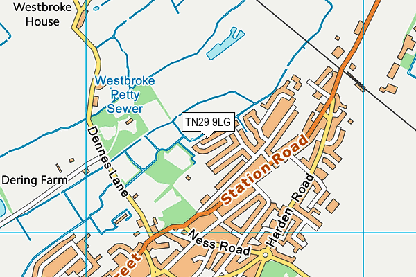TN29 9LG map - OS VectorMap District (Ordnance Survey)