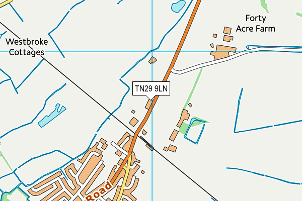 TN29 9LN map - OS VectorMap District (Ordnance Survey)