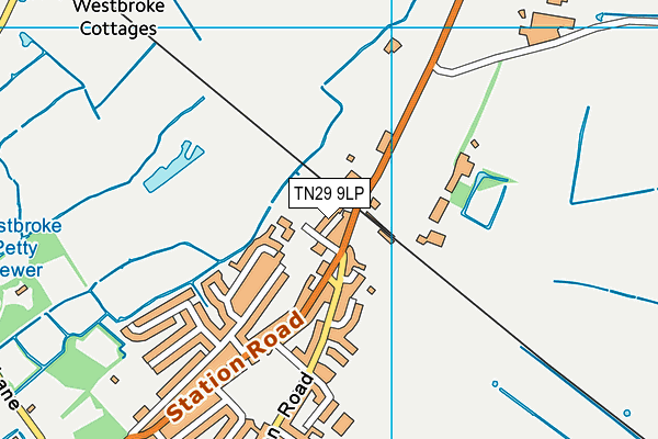 TN29 9LP map - OS VectorMap District (Ordnance Survey)