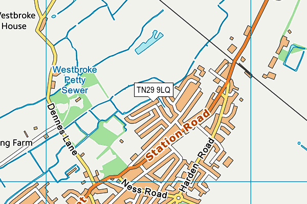 TN29 9LQ map - OS VectorMap District (Ordnance Survey)