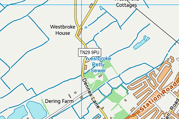 TN29 9PU map - OS VectorMap District (Ordnance Survey)