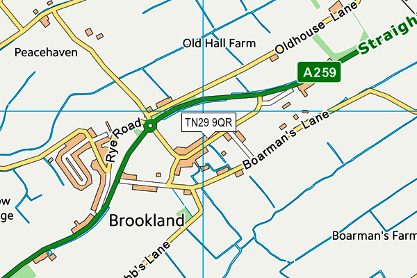 Brookland Church of England Primary School map (TN29 9QR) - OS VectorMap District (Ordnance Survey)