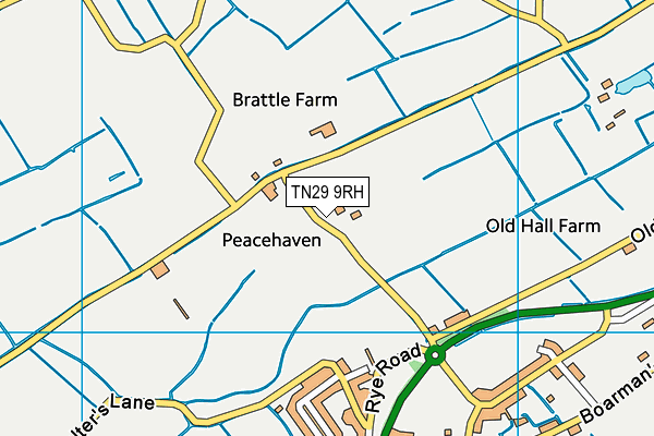 TN29 9RH map - OS VectorMap District (Ordnance Survey)