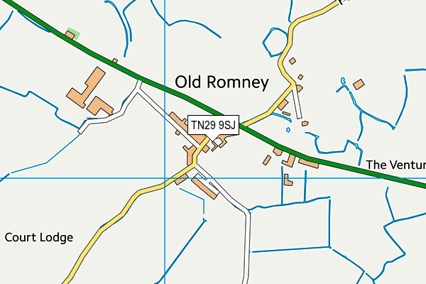 TN29 9SJ map - OS VectorMap District (Ordnance Survey)