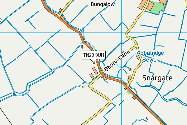 TN29 9UH map - OS VectorMap District (Ordnance Survey)