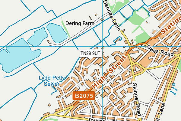 TN29 9UT map - OS VectorMap District (Ordnance Survey)