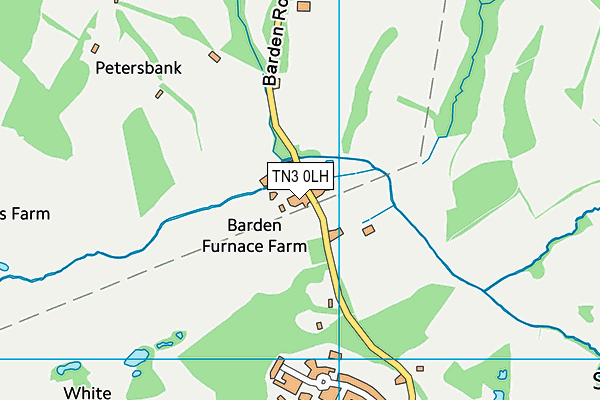 TN3 0LH map - OS VectorMap District (Ordnance Survey)