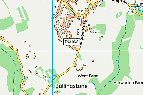 TN3 0NS map - OS VectorMap District (Ordnance Survey)