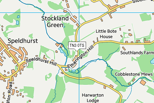 TN3 0TS map - OS VectorMap District (Ordnance Survey)