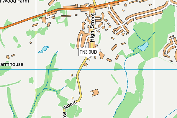 TN3 0UD map - OS VectorMap District (Ordnance Survey)