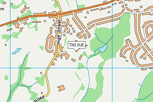Bidborough Church of England Voluntary Controlled Primary School map (TN3 0UE) - OS VectorMap District (Ordnance Survey)