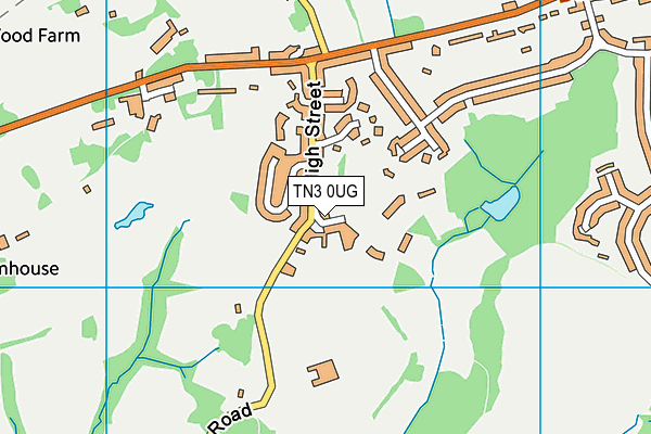 TN3 0UG map - OS VectorMap District (Ordnance Survey)