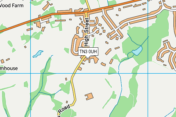 TN3 0UH map - OS VectorMap District (Ordnance Survey)