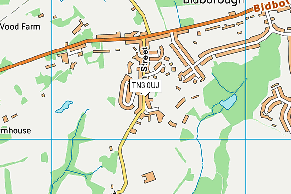 TN3 0UJ map - OS VectorMap District (Ordnance Survey)