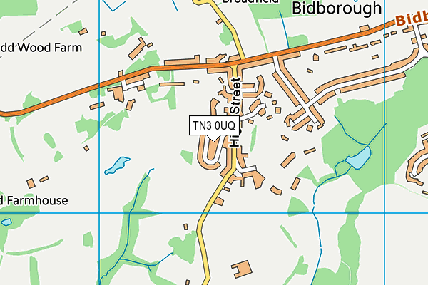 TN3 0UQ map - OS VectorMap District (Ordnance Survey)