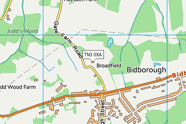 TN3 0XA map - OS VectorMap District (Ordnance Survey)