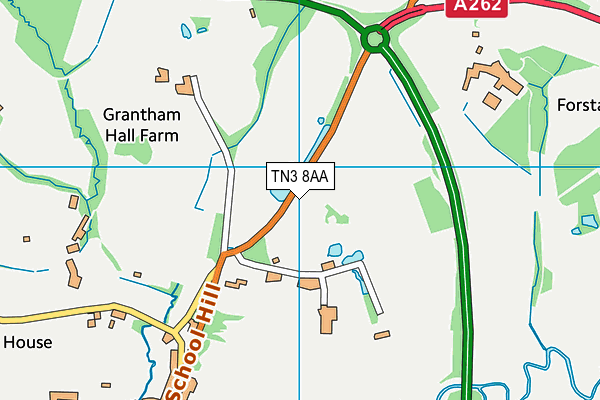 TN3 8AA map - OS VectorMap District (Ordnance Survey)