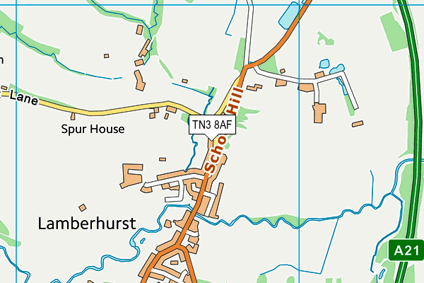 TN3 8AF map - OS VectorMap District (Ordnance Survey)