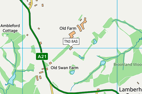 TN3 8AS map - OS VectorMap District (Ordnance Survey)