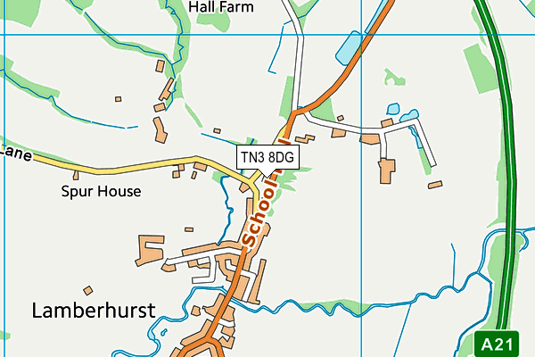 TN3 8DG map - OS VectorMap District (Ordnance Survey)