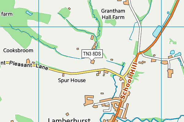 TN3 8DS map - OS VectorMap District (Ordnance Survey)